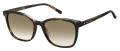Tommy Hilfiger Th 1723/S Dark Havana / brown gradient (0086/HA) Sunglasses - Color Image