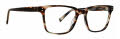 Trina Turk Arli Black Horn Eyeglasses - Color Image