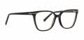 Trina Turk Franca Black Eyeglasses - Color Image