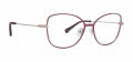 Trina Turk Park Berry Eyeglasses - Color Image