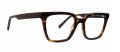 Trina Turk Thomasin Tortoise Eyeglasses - Color Image