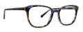 Trina Turk Wallis Blue Tortoise Eyeglasses - Color Image