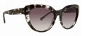 Trina Turk Comino Black/Tortoise Sunglasses - Color Image
