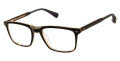 Ted Baker TLM009 Black - BLK Eyeglasses - Color Image