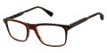 Ted Baker TLM009 Burgandy - BUR Eyeglasses - Color Image