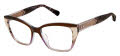 Ted Baker TLW012 Ivory Tort - IVO Eyeglasses - Color Image