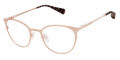 Ted Baker TLW014 Rose Gold - RGD Eyeglasses - Color Image