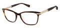 Ted Baker TLW015 Tortoise - TOR Eyeglasses - Color Image