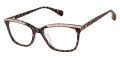 Ted Baker TLW016 Black - BLC Eyeglasses - Color Image