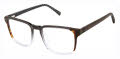 Ted Baker TM019 Black - BLK Eyeglasses - Color Image