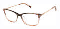 Ted Baker TWUF008 Brown - BRN Eyeglasses - Color Image