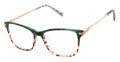 Ted Baker TWUF008 Emerald - EMR Eyeglasses - Color Image