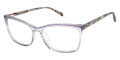 Ted Baker TWXL001 Grey - GRY Eyeglasses - Color Image