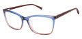 Ted Baker TWXL001 Navy - NAV Eyeglasses - Color Image
