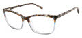 Ted Baker TWXL001 Tortoise - TOR Eyeglasses - Color Image