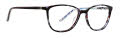 Vera Bradley Colene Satiago (SGO) Eyeglasses - Color Image