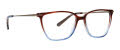 Vera Bradley Pamlico Seurat Tulip Blue Eyeglasses - Color Image