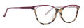 Vera Bradley Taunton Stripey Buttons [SBU] Eyeglasses - Color Image