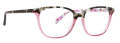 Vera Bradley Tule Stripey Buttons [SBU] Eyeglasses - Color Image