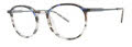 Vera Wang V565 Navy Frosted Tortoise Eyeglasses - Color Image