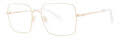 Vera Wang V571 Gold Eyeglasses - Color Image