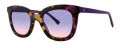 Vera Wang V486 Violet Tortoise Sunglasses - Color Image