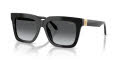 Versace VE4498 Black/Dark Grey Gradient Polar (GB1/T3) Sunglasses - Color Image