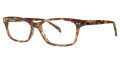 Via Spiga Ilaria Tortoise (550) Eyeglasses - Color Image