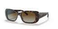 Vogue VO2606S Dark Havana / Polar Brown Gradient (W656T5) Sunglasses - Color Image
