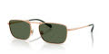 Vogue VO4346S Rose Gold/Dark Green Polar (51529A) Sunglasses - Color Image