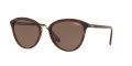 Vogue VO5270S Top Havana Light Brown Transparent / Brown Lens (238673) Sunglasses - Color Image