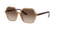 Vogue VO5361S Transparent Caramel / Brown Gradient (282613) Sunglasses - Color Image