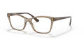 Vogue VO5420 Transparent Brown (2940) Eyeglasses - Color Image
