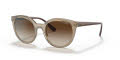 Vogue VO5427S Transparent Brown/Brown Gradient (294013) Sunglasses - Color Image