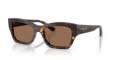 Vogue VO5658SU Dark Havana/Dark Brown (W65673) Sunglasses - Color Image