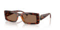 Vogue VO5674S Dark Havana/Dark Brown (W65673) Sunglasses - Color Image