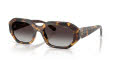 Vogue VO5675S Honey Havana/Grey Gradient (31798G) Sunglasses - Color Image
