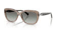 Vogue VO5678SB Transparent Brown/Gradient Grey (294011) Sunglasses - Color Image