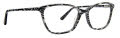 XOXO Andalusia Zebra Eyeglasses - Color Image