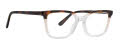 XOXO Aberdeen Tortoise (TOR) Eyeglasses - Color Image