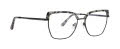 XOXO Dover Black (BLK) Eyeglasses - Color Image