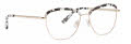 XOXO Laredo Zebra Eyeglasses - Color Image
