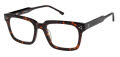 XXL Squadron Tortoise Eyeglasses - Color Image