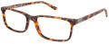 XXL Terrapin Tortoise Eyeglasses - Color Image