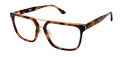 XXL Brahma Tortoise Eyeglasses - Color Image