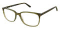 XXL Egret Moss Eyeglasses - Color Image
