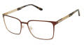 XXL Hotspur Brown Eyeglasses - Color Image