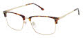 XXL Stampeder Tortoise Eyeglasses - Color Image