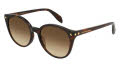 Alexander McQueen AM0130S Havana / Brown Gradient Lens (002) Sunglasses - Color Image