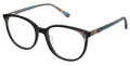 Ann Taylor AT345 Black Teal Tortoise (C01) Eyeglasses - Color Image